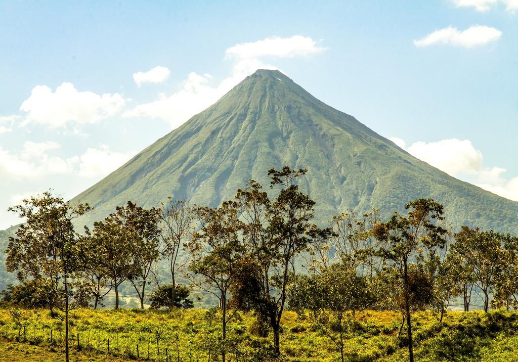 格林拉贡阿雷纳瀑布别墅 La Fortuna 客房 照片